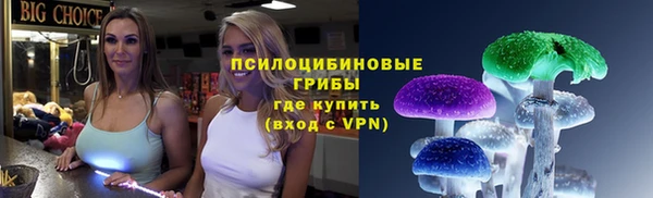 шишки Богородицк