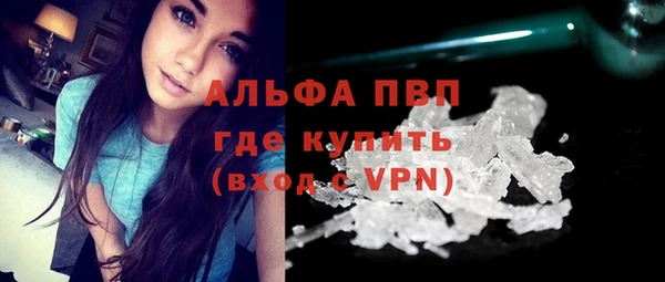 шишки Богородицк