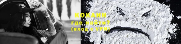 шишки Богородицк