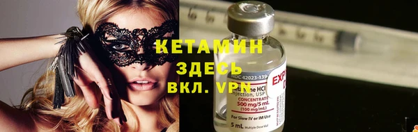 шишки Богородицк