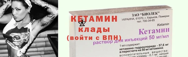 шишки Богородицк