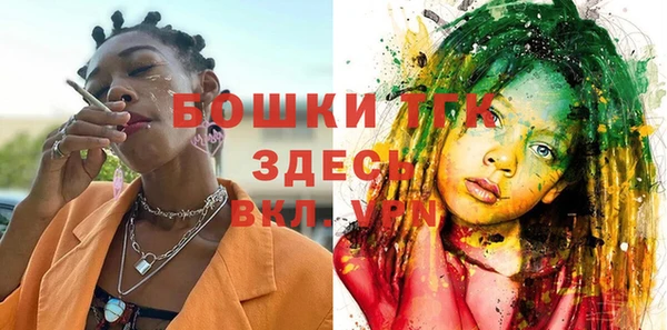 шишки Богородицк