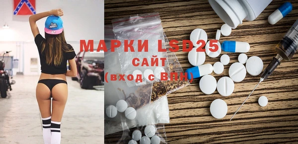 шишки Богородицк