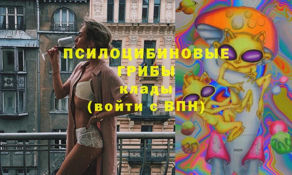 эйфоретик Богданович