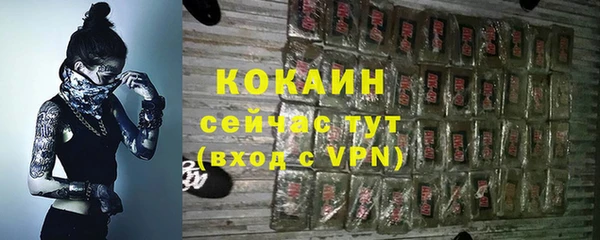 прущие грибы Пролетарск