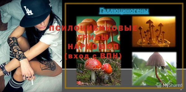 эйфоретик Богданович
