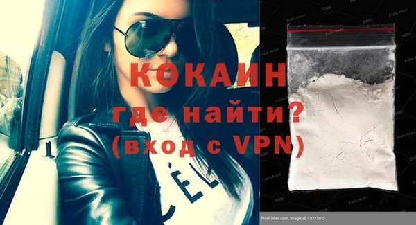 шишки Богородицк