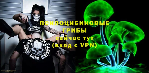 эйфоретик Богданович