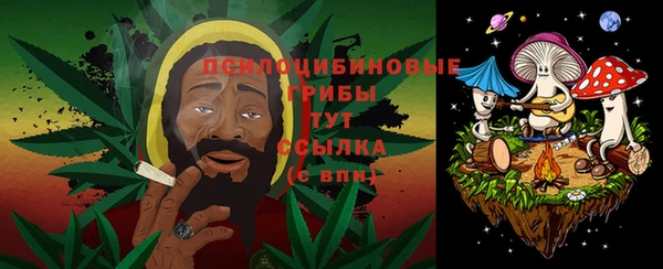 шишки Богородицк
