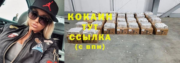шишки Богородицк