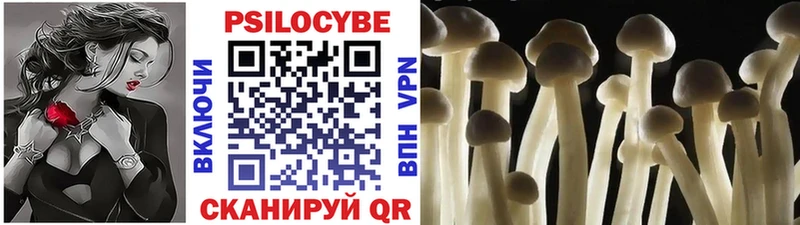 Галлюциногенные грибы Magic Shrooms  Купить  Тавда 